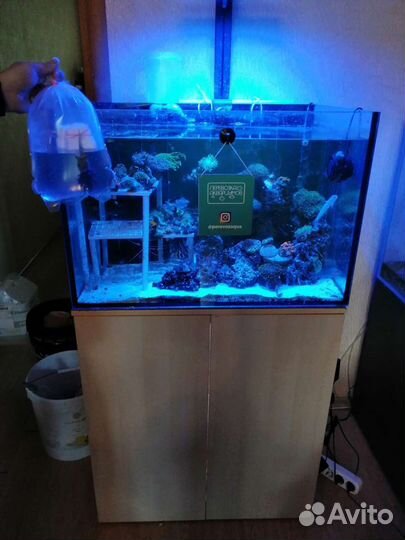 Перевозка морских аквариумов