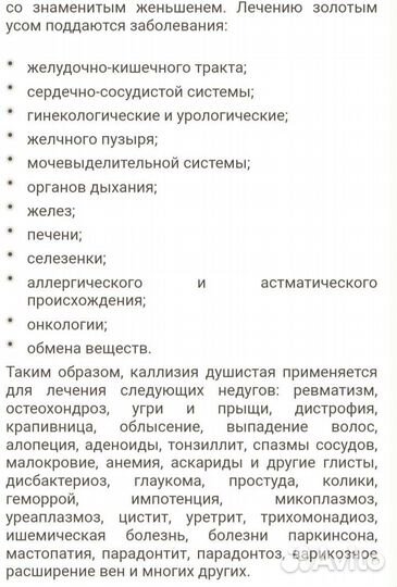 Комнатные растения