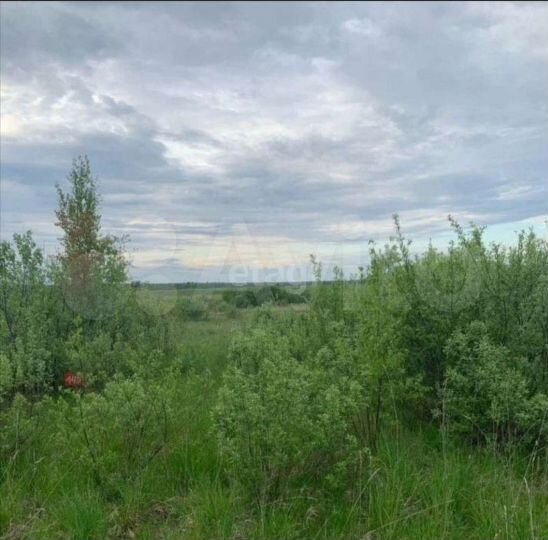 Участок 9,8 сот. (СНТ, ДНП)