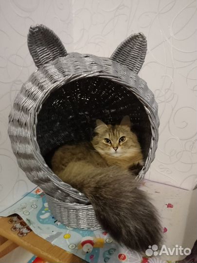 Домик для кота или маленькой собачки