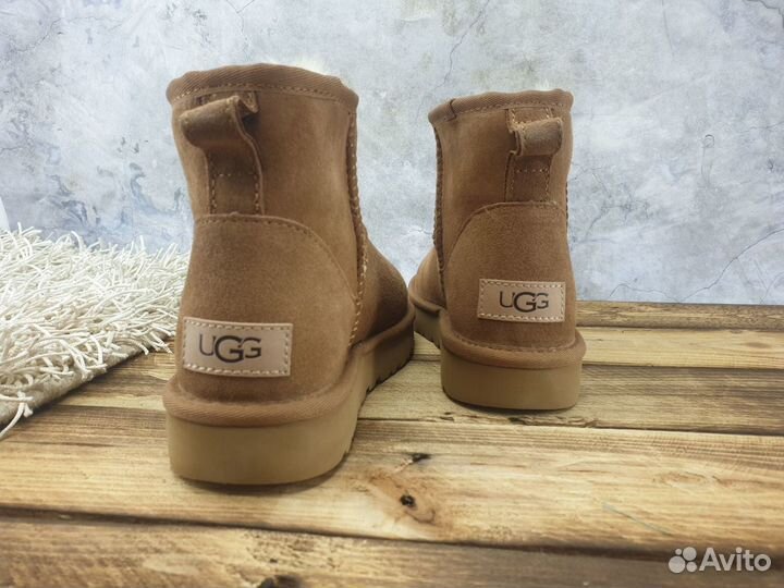 Ugg оригинал женские