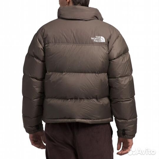 THE north face Nuptse Jacket Men Gray (xxxl)(92)