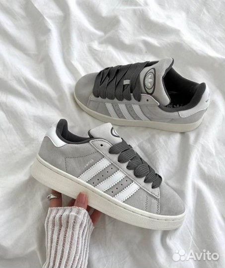 Adidas campus (39)