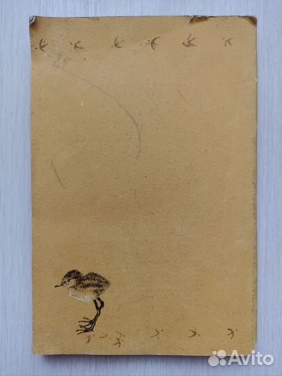 Следы птиц и животных Определитель И.Карякин