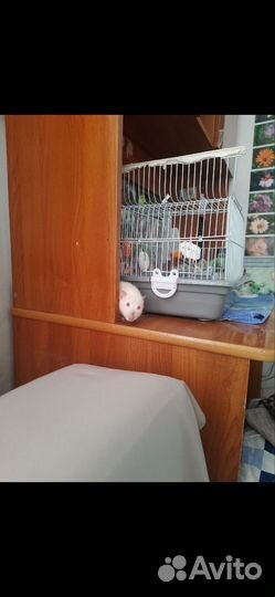 Клетка для грызунов