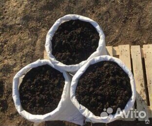 Чернозем в мешках все растет отлично