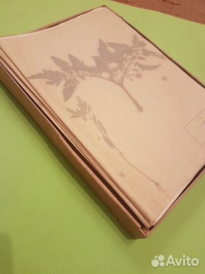 Гербарий сельскохозяйственных растений 1978 г