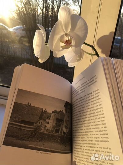 Такая приятная дорога в Компостель