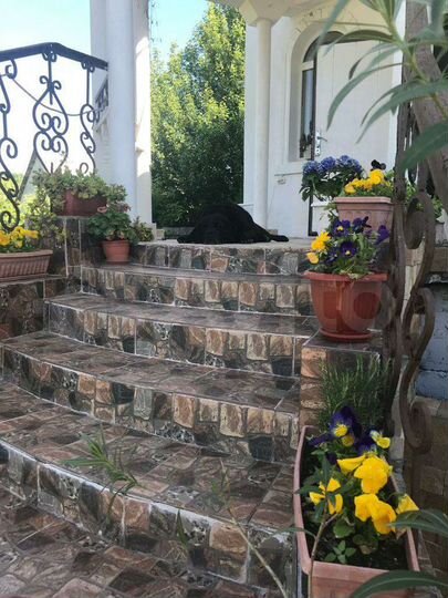 Коттедж 280 м² на участке 24 сот.