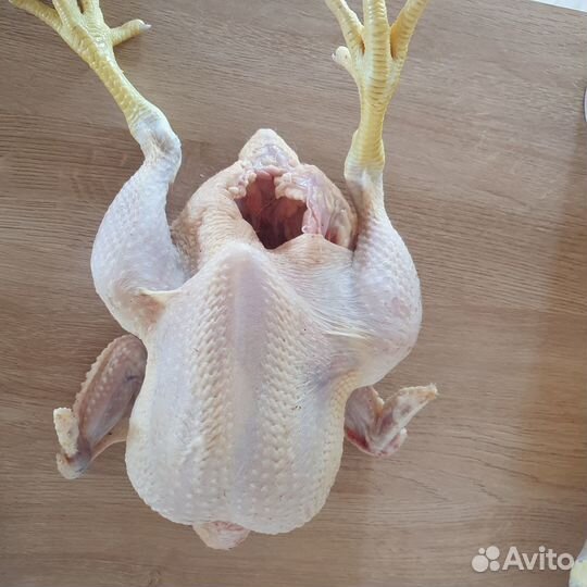 Домашнее мясо кур