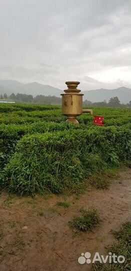 Экскурсии Сочи, Адлер, Сириус, Абхазия