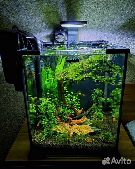 Обслуживание аквариумов