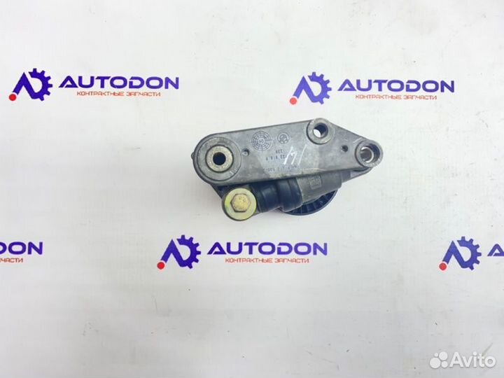 Натяжитель ремня Bmw X5 E53 2005