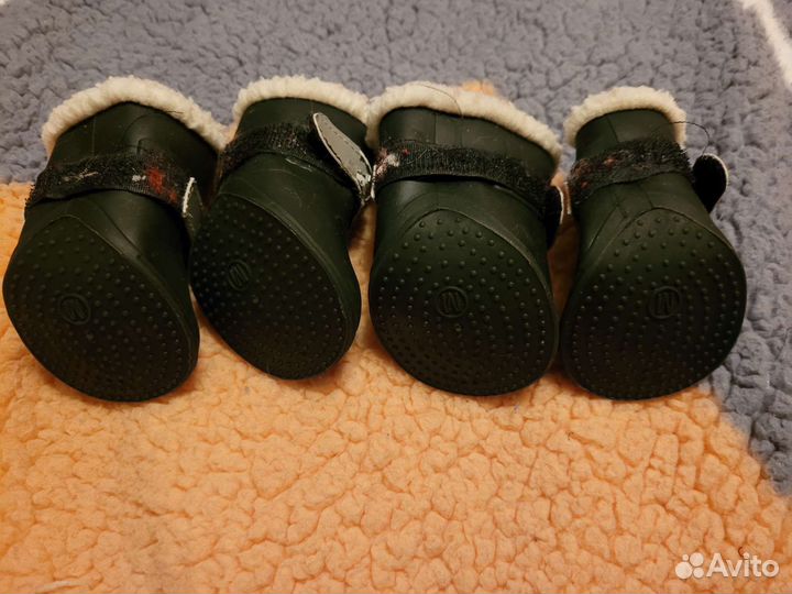 Свитер Rukka и сапожки для собаки