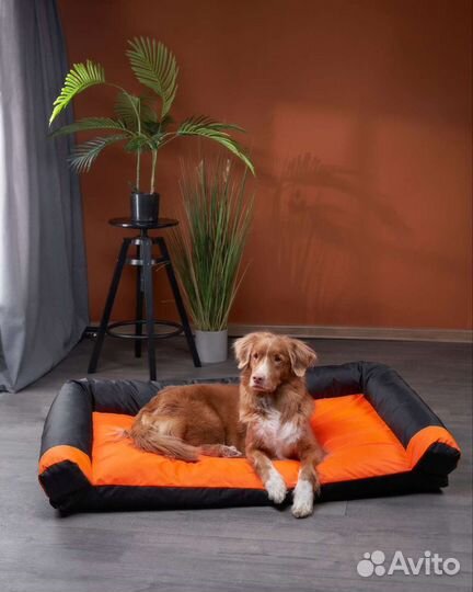 Диван-лежак для крупных собак антикоготь