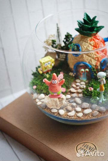 Авторские флорариумы и моссариумы на заказ