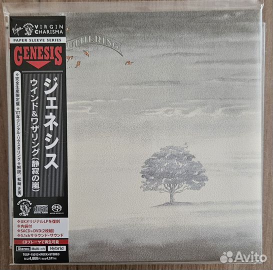 Alternative,Prog,Soft,Pop Rock, Blues - 6 Japan CD