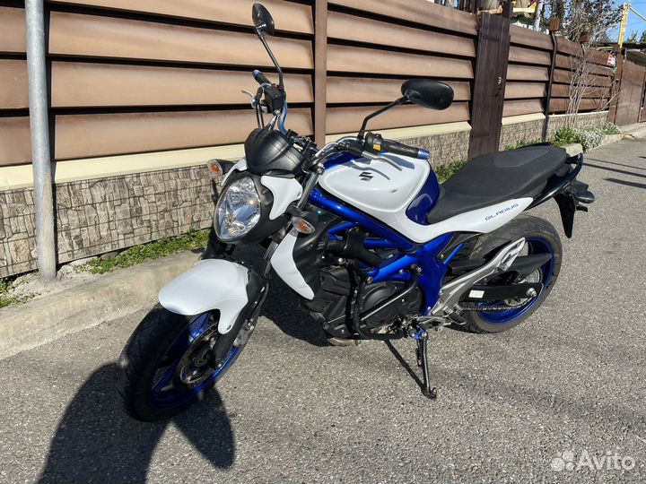 Suzuki gladius