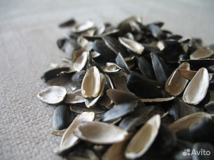 Лузга подсолнечника