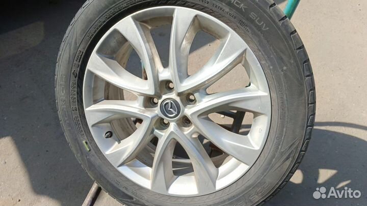 Blackhawk Ice Prey HW06 23.5/55 R19