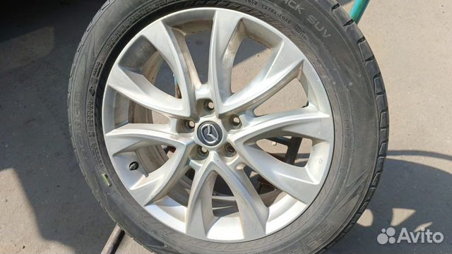 Blackhawk Ice Prey HW06 23.5/55 R19