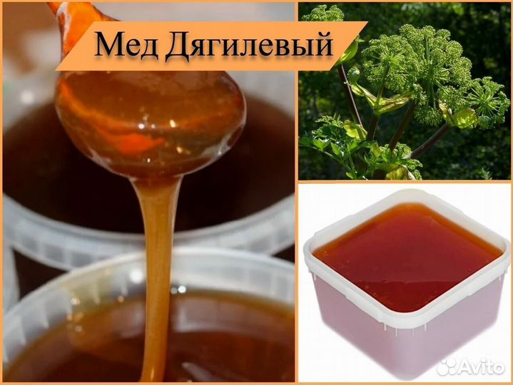 Мед натуральный (гречишный, разнотравье). Алтай