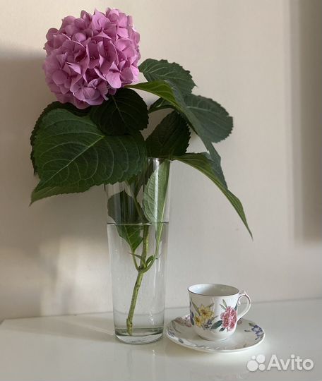 Кофейная пара Villeroy boch