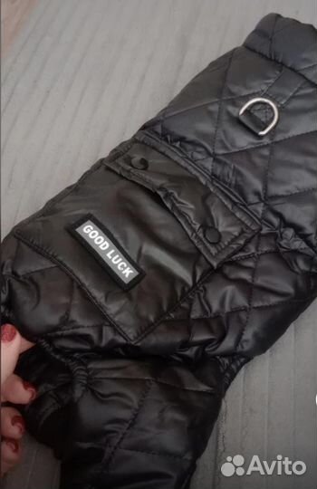 Комбинезон для собаки