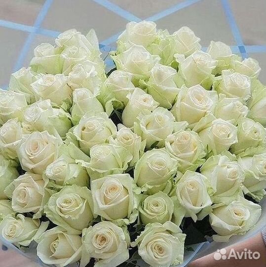 Высокие розы, букеты, цветы Доставка Доставка