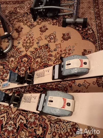 Горные лыжи