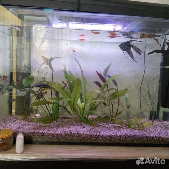 Аквариум пустой 120л