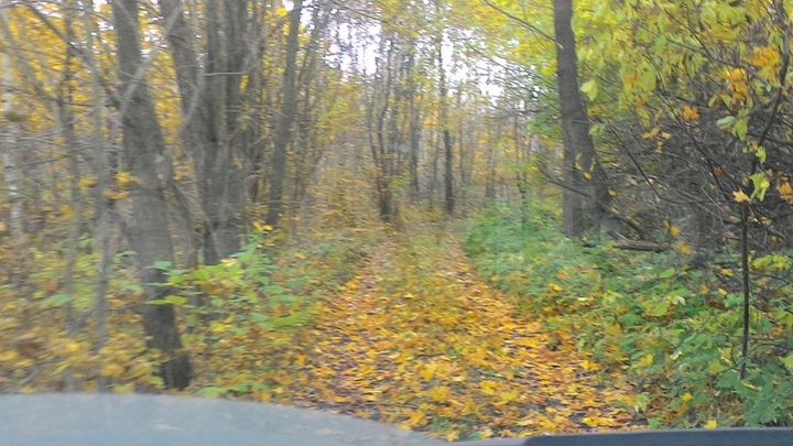 Участок 42 га (ИЖС)