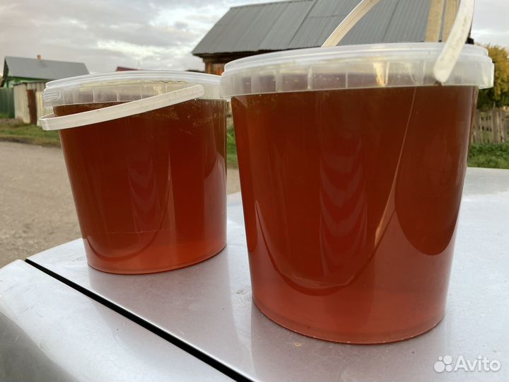 Мед цветочный 3л