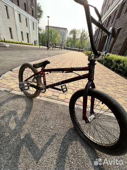 BMX radio astron 2019