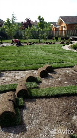 Укладка рулонного газона под ключ, производитель