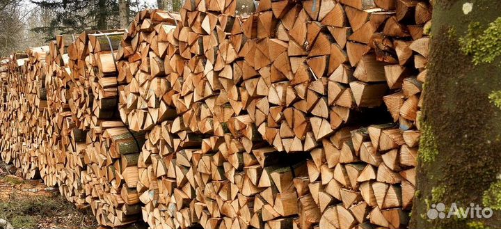 Сухие дрова
