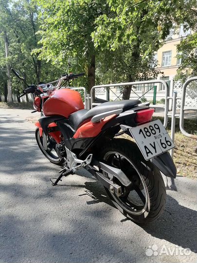 Stels flex 250