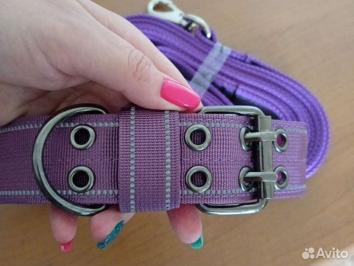 Ошейник+поводок