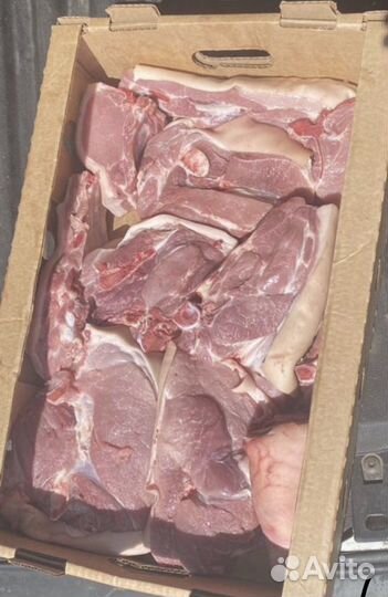 Мясо свинина на шашлык