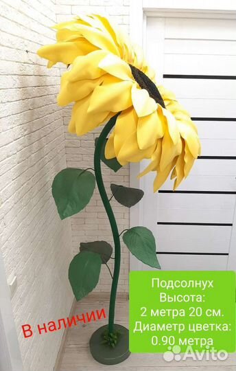 Интерьерные цветы