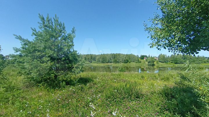 Участок 12 сот. (СНТ, ДНП)