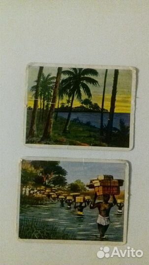 Германия.Открытки-вкладыши в сигареты.Нем.колонии