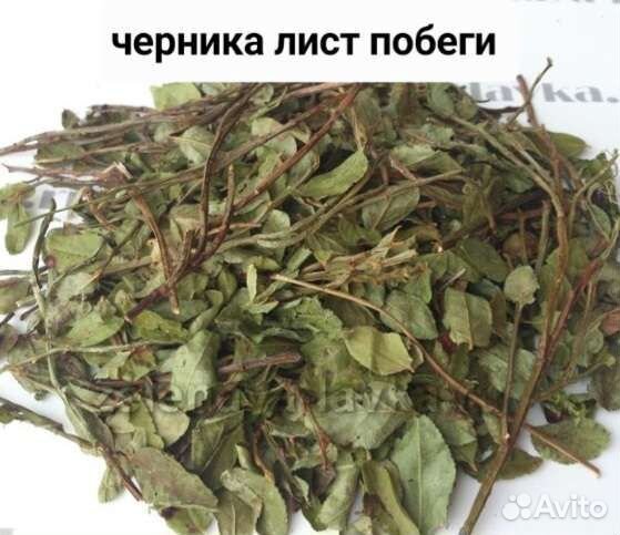 Сушеный лист черники рябин шикши малина золотарник