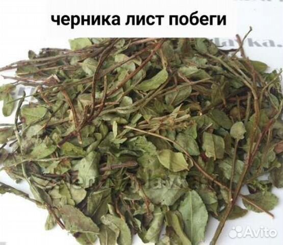 Сушеный лист черники рябин шикши малина золотарник