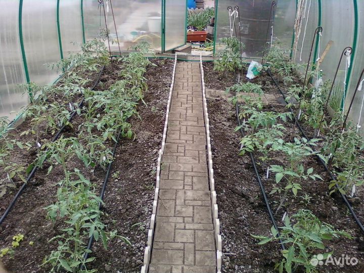 Система капельного полива