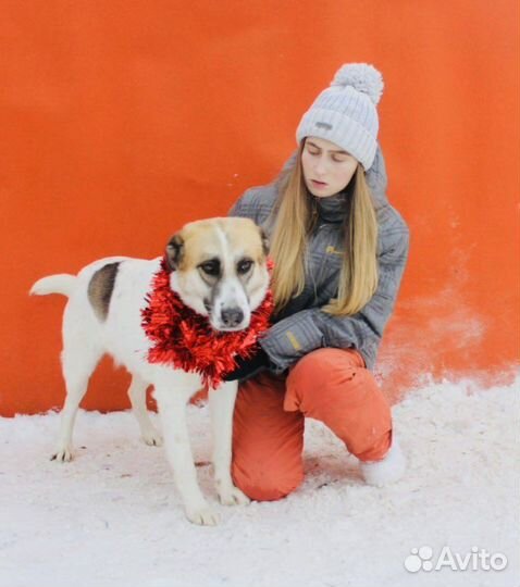 Подари Скарлет дом