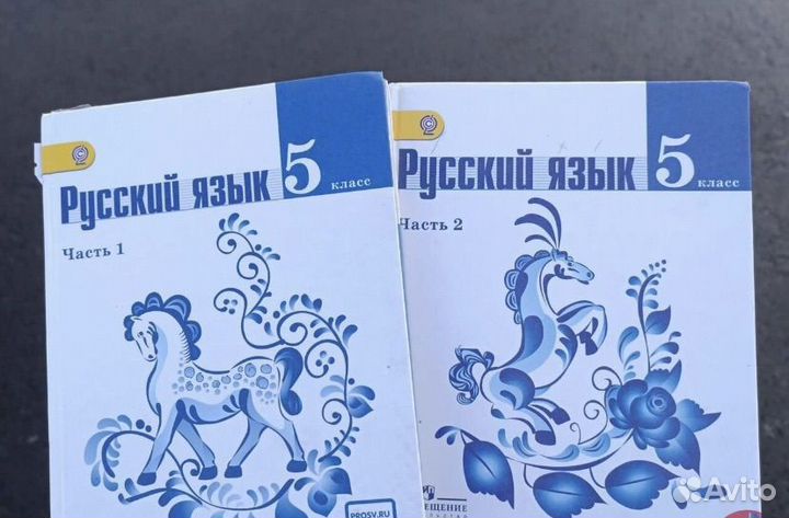 Учебник по русскому языку 5 класс ладыженская