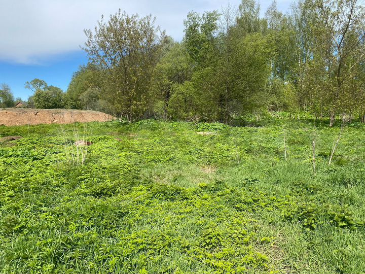 Участок 35 сот. (ИЖС)