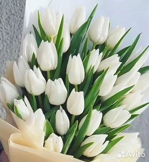 Тюльпаны Букет