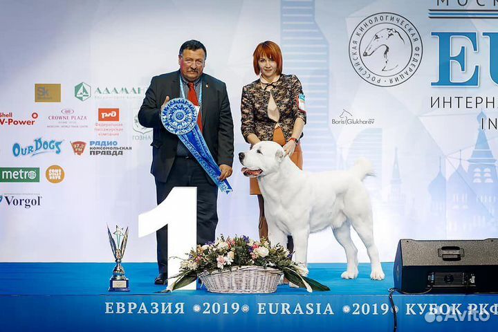 Услуги хендлера